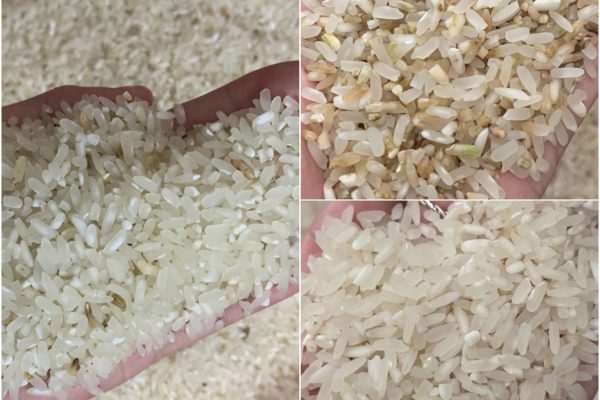 Máy bắn màu gạo – Dự án nông hộ nhỏ