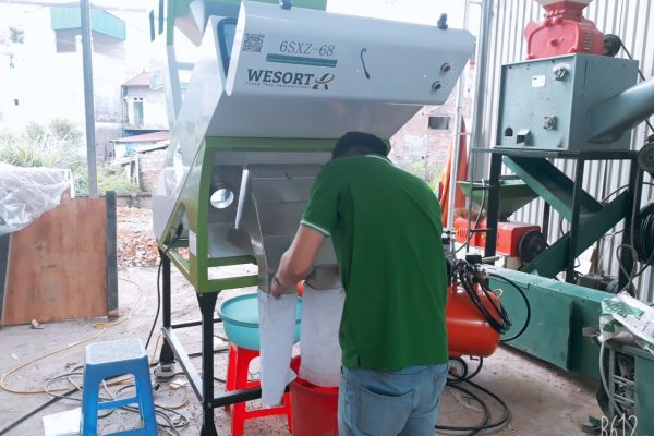 Máy tách màu gạo / Dự án án HTX nông sản sạch Tràng Định